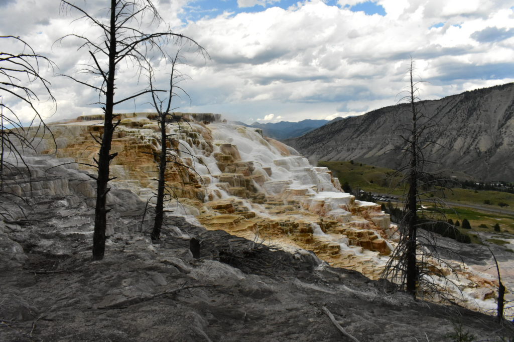 mammoth hot springs in yellowstone
