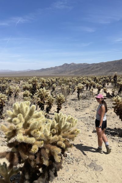 girl walking through the cacti in Joshua Tree