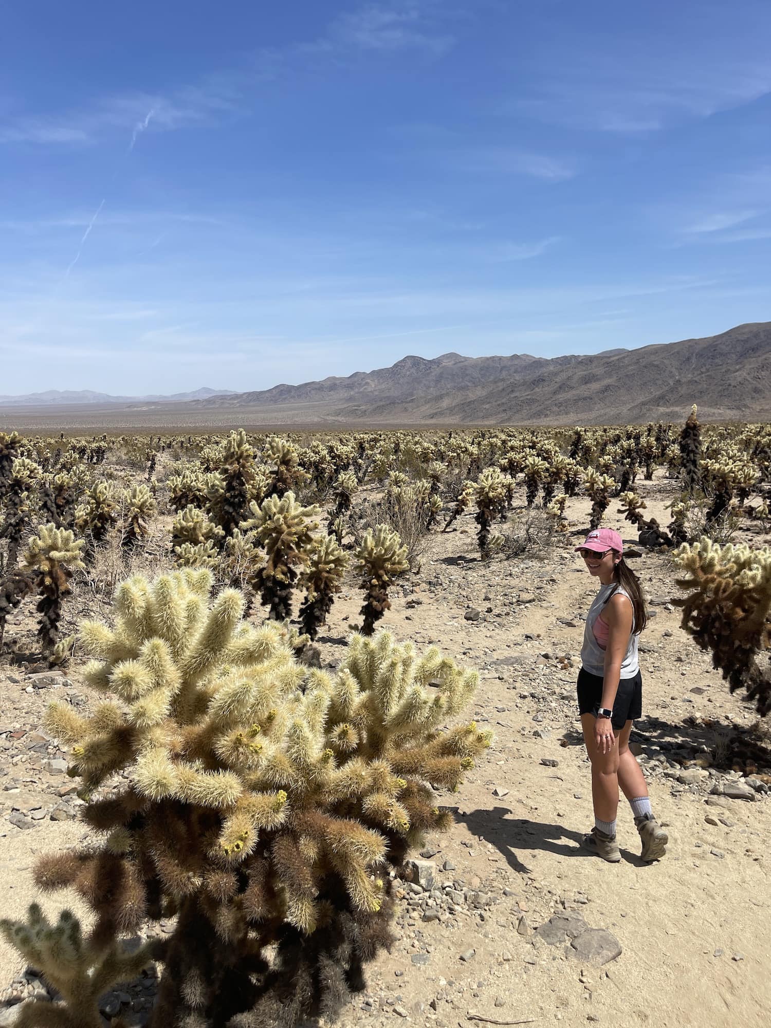 girl walking through the cacti in Joshua Tree