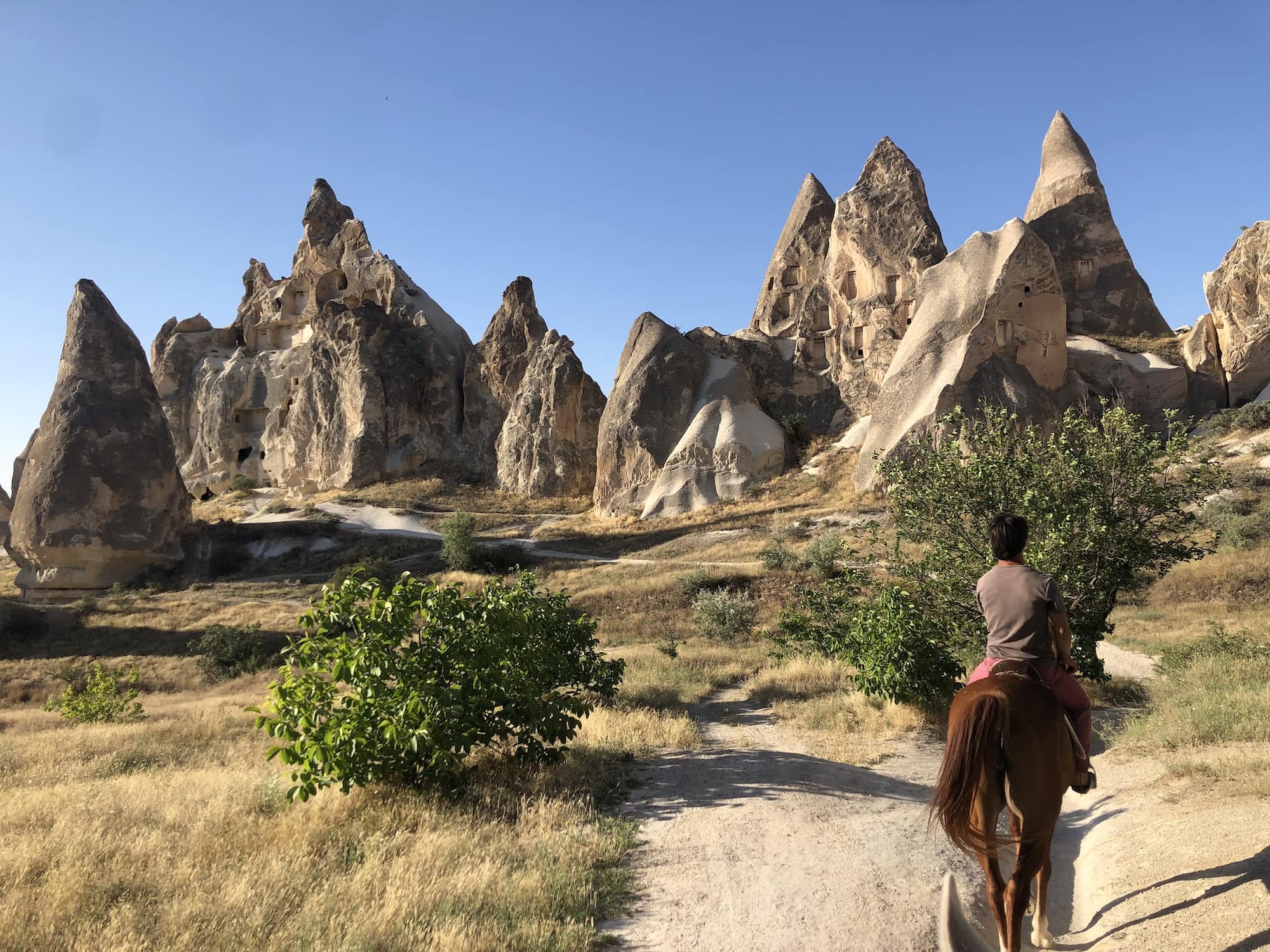 rock formations in Cappadocia with horse 