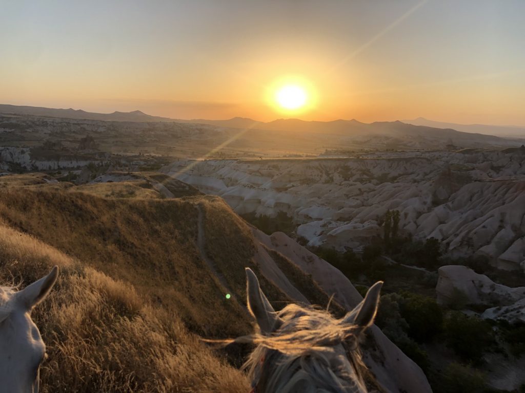 view of sunset from the horse's back