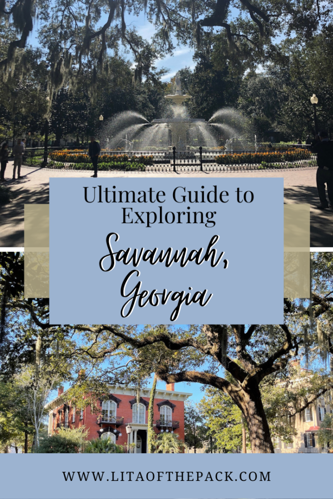 ultimate guide to exploring savannah pin