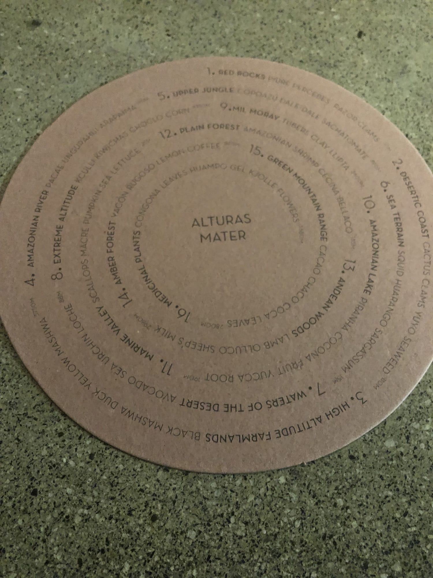 Back of Menu at Central