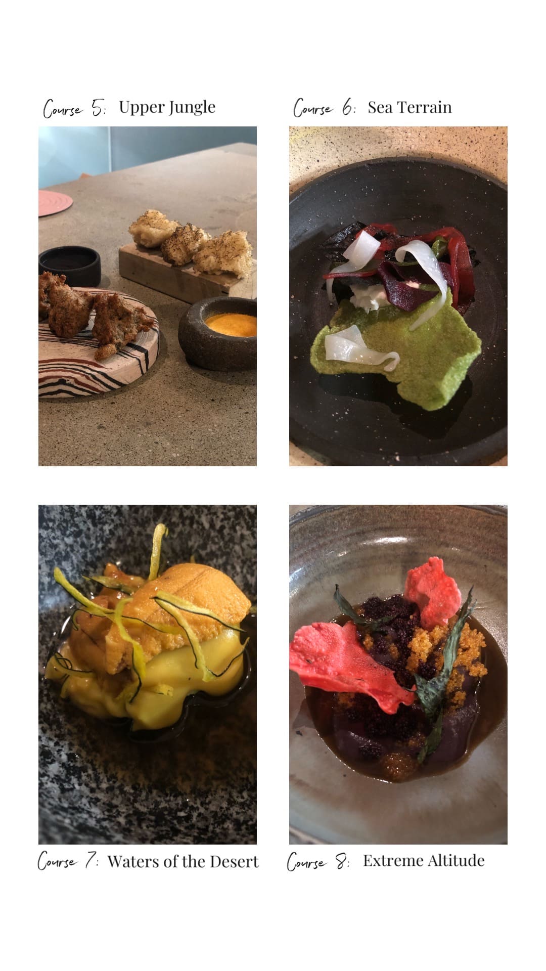 courses 5-8 at central