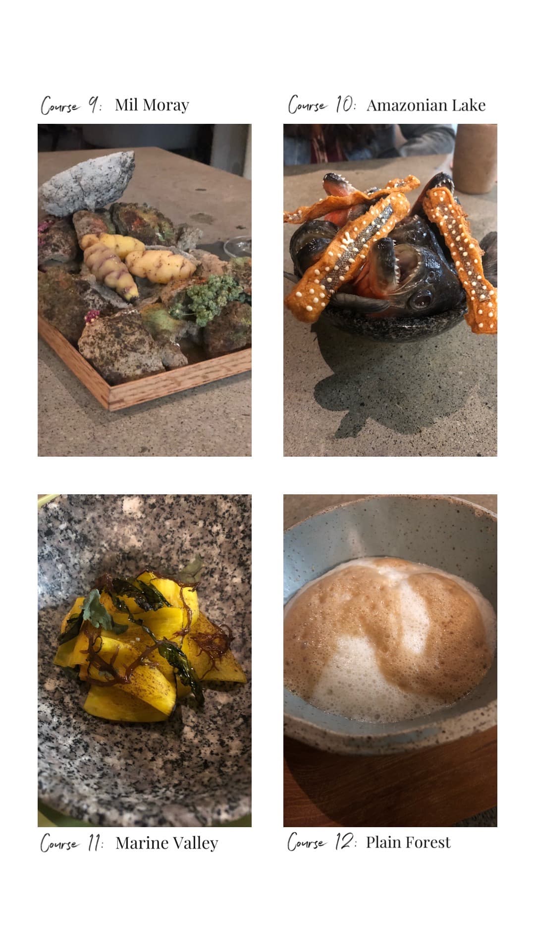 courses 9-12 at central