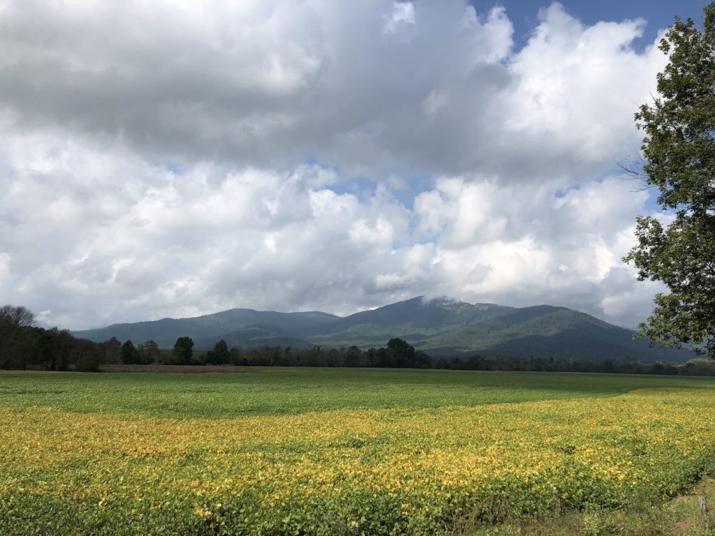 Views of Shenandoah with valley