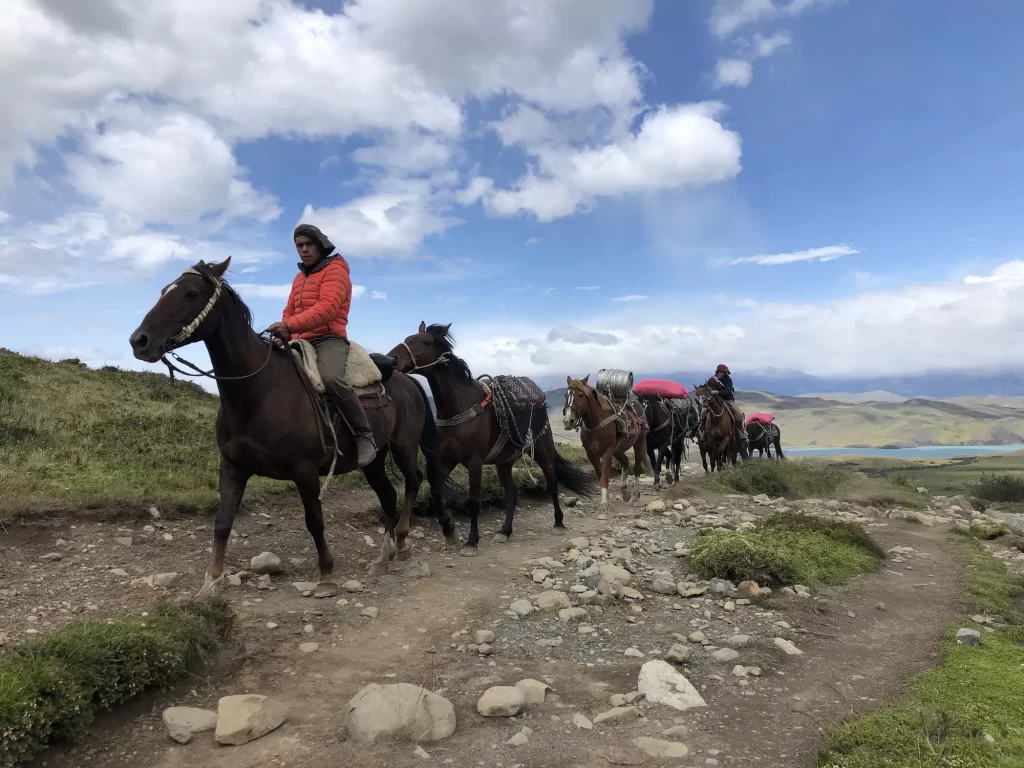 horses on the trail to the base of the towers