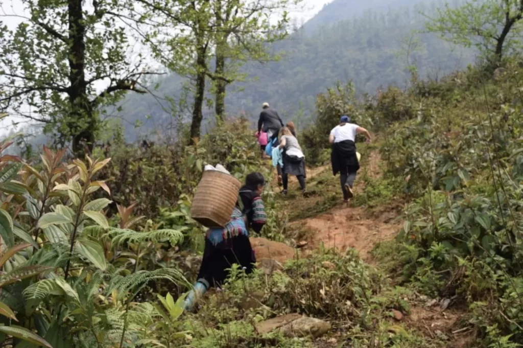group of people trekking up the mountains of sapa