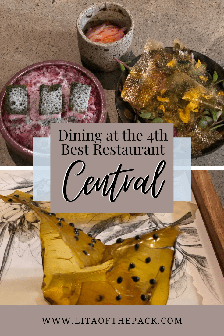 two different courses of food at central