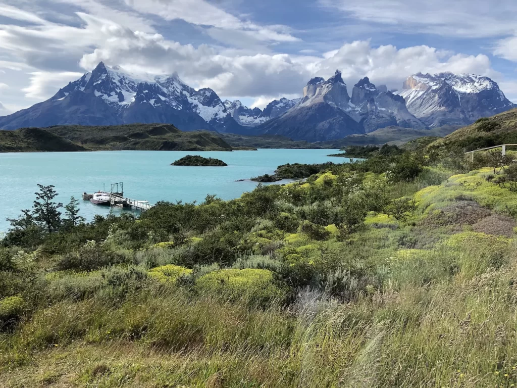 View of Torres del Paine