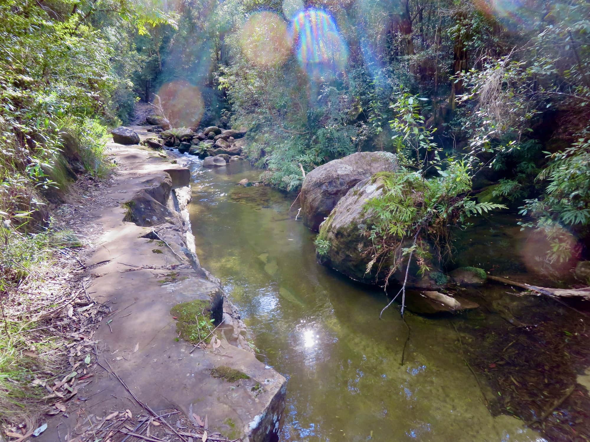 River in the forest