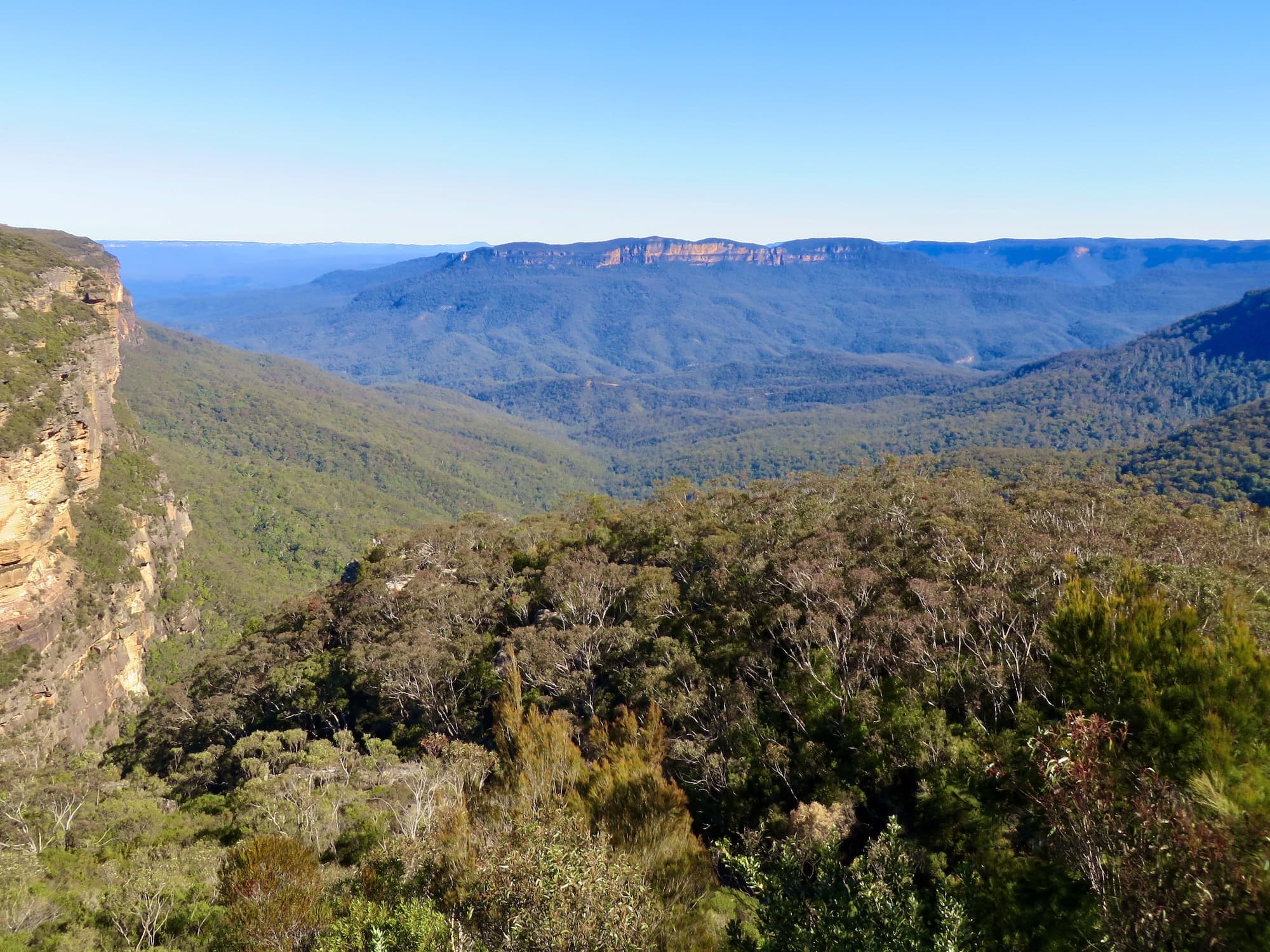 Panorama of the Blue Mountains