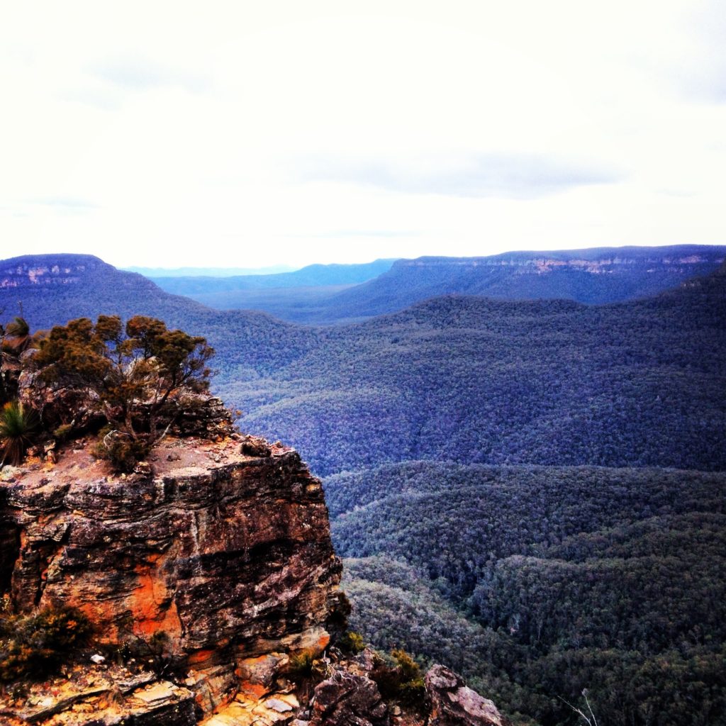 Panoramic spot in blue mountains