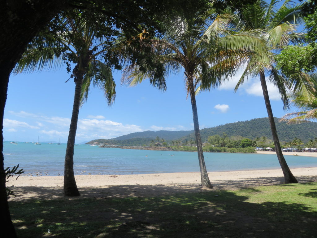 view of beach on the whitsundays