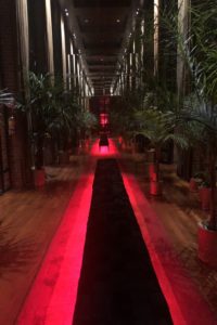 Tango Show hallway lined with red carpet