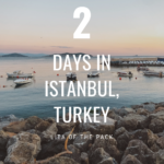 Two Days in Istanbul Pin