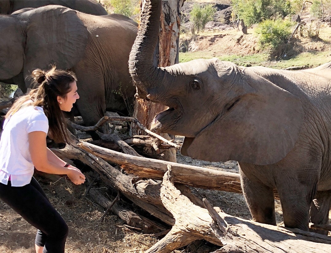 Two Days in Victoria Falls; girl feeding elephant