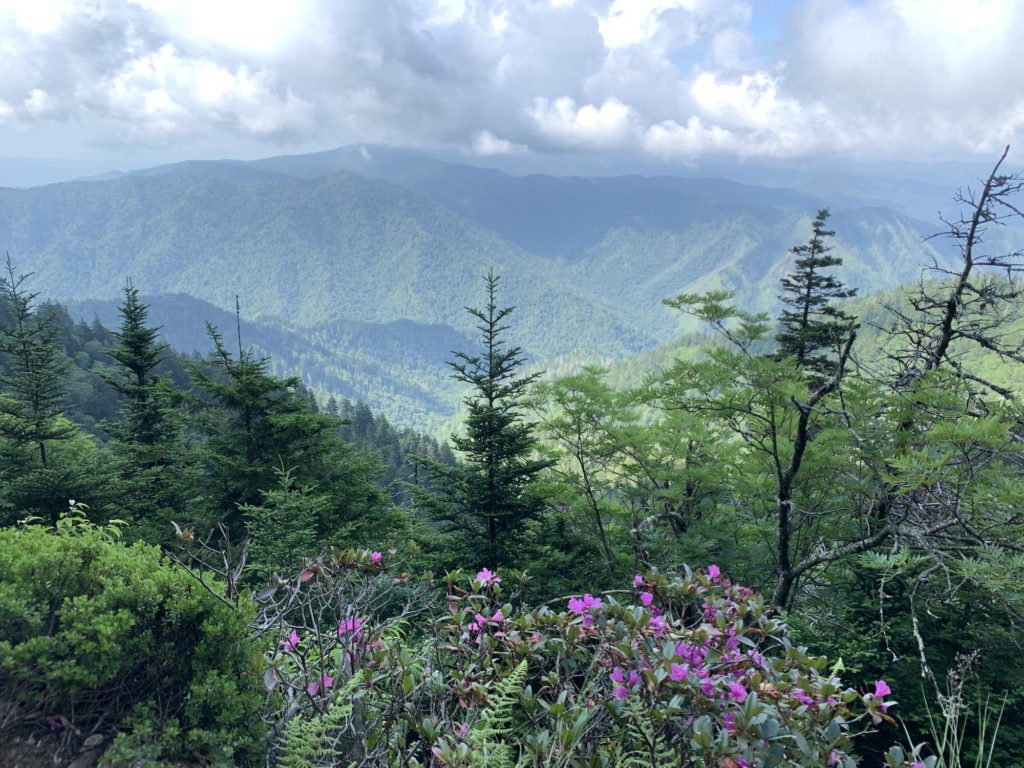 Top of Mt Leconte