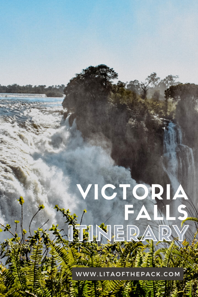 Two Days in Victoria Falls Pin