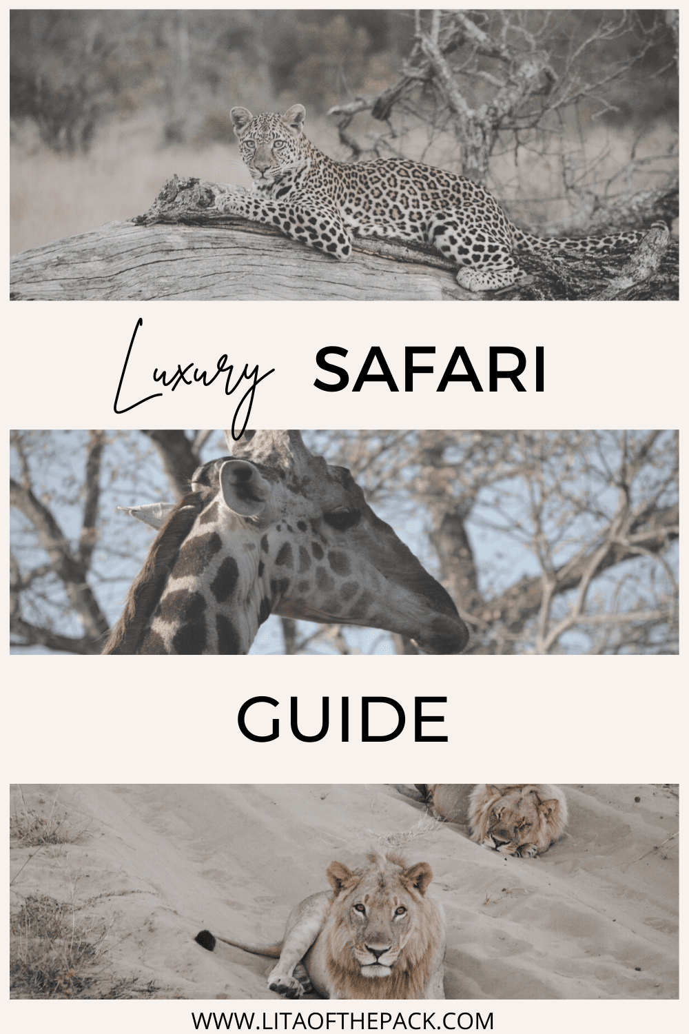 Luxury African Safari Tours Pin