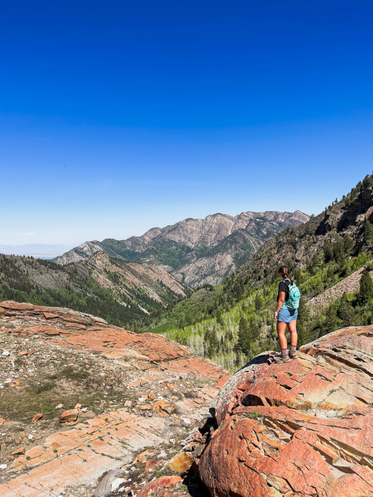 Girl looking out at view of mountains