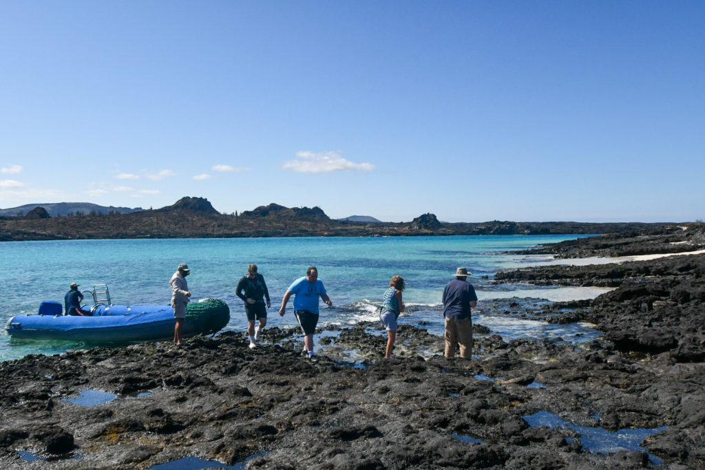 people walk on a beach on a tour