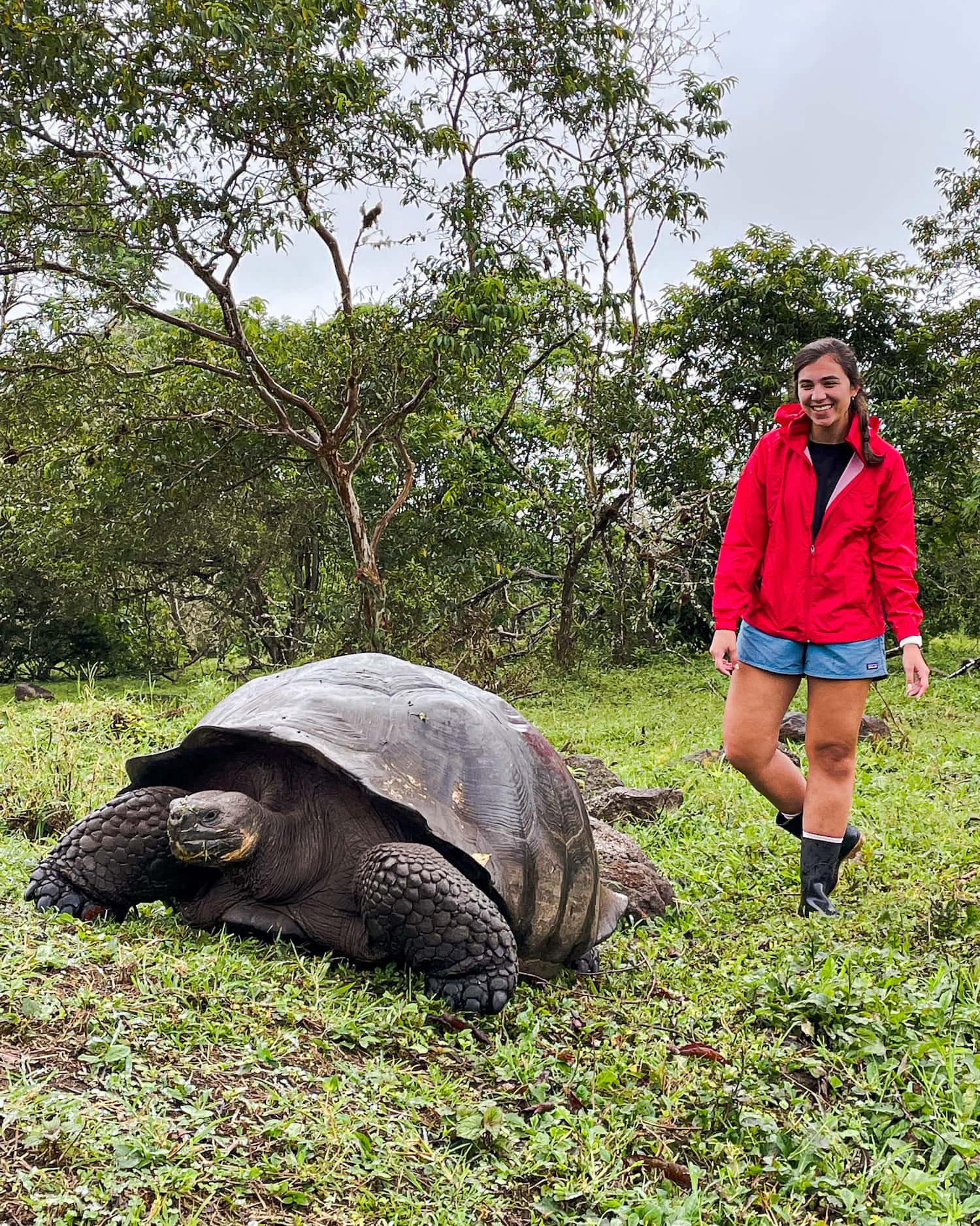 Galapagos Islands Vacation cover; Girl standing next to giant tortoise laughing