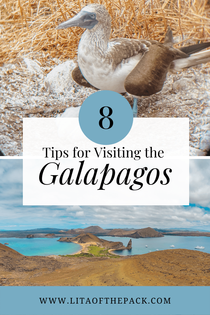 7 Essential Travel Safety Tips for the Galapagos Islands