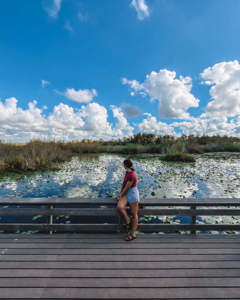 Girl staring out at marsh with lilypads; two days in everglades cover