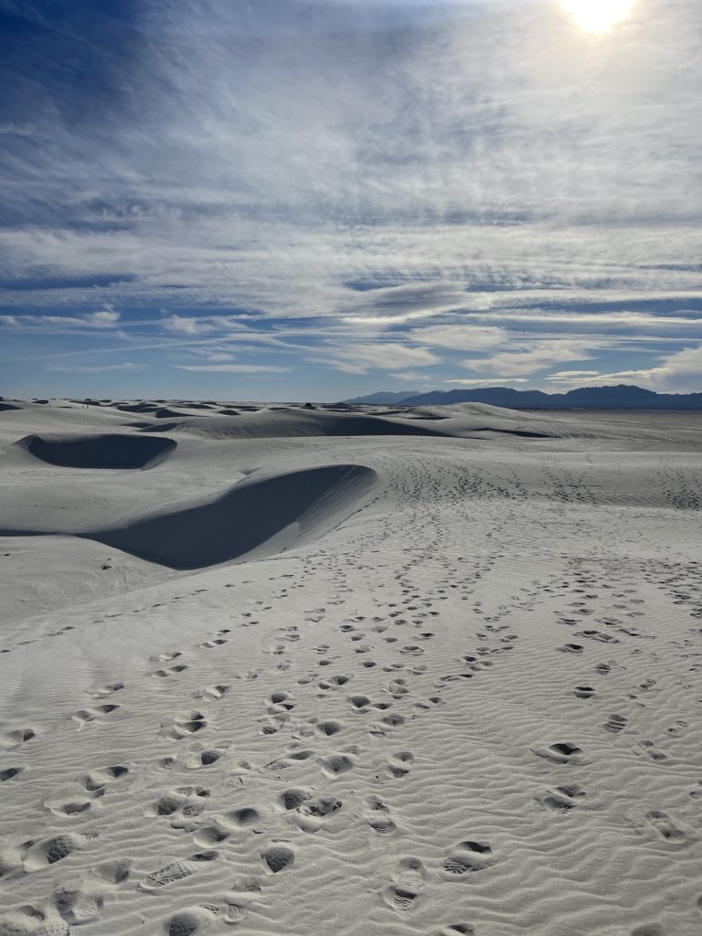 Picture of a dunefield in white sands national park