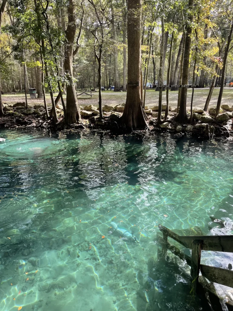 Water at Ginnie Springs