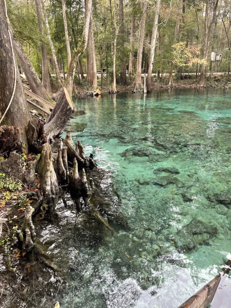 Springs at ginnie springs