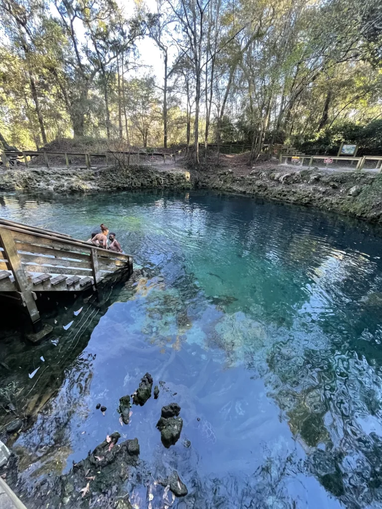 people standing on stairs at madison blue springs