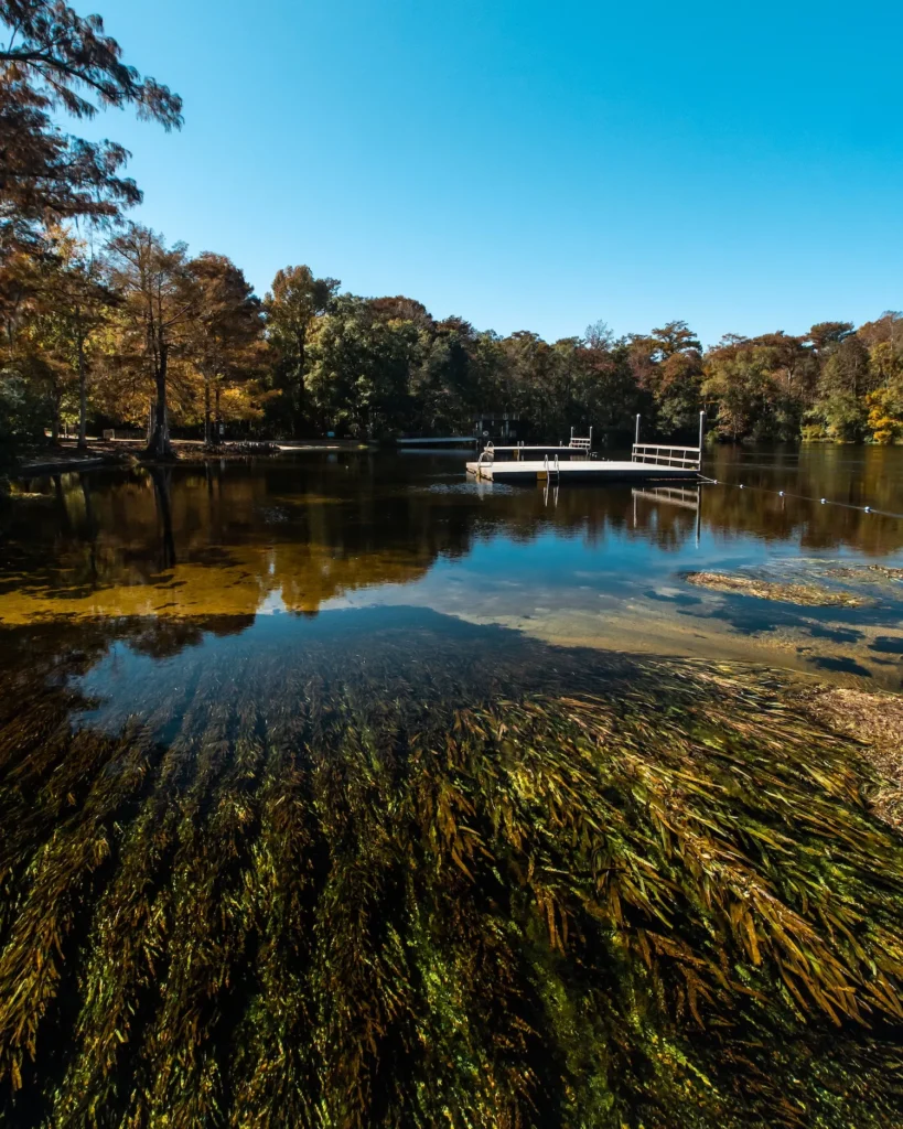 Wakulla Springs