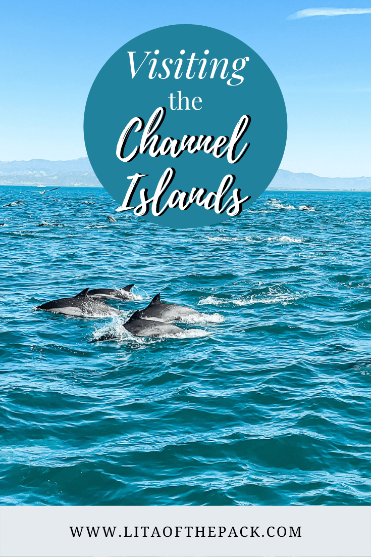 Channel Islands Day Trip pin
