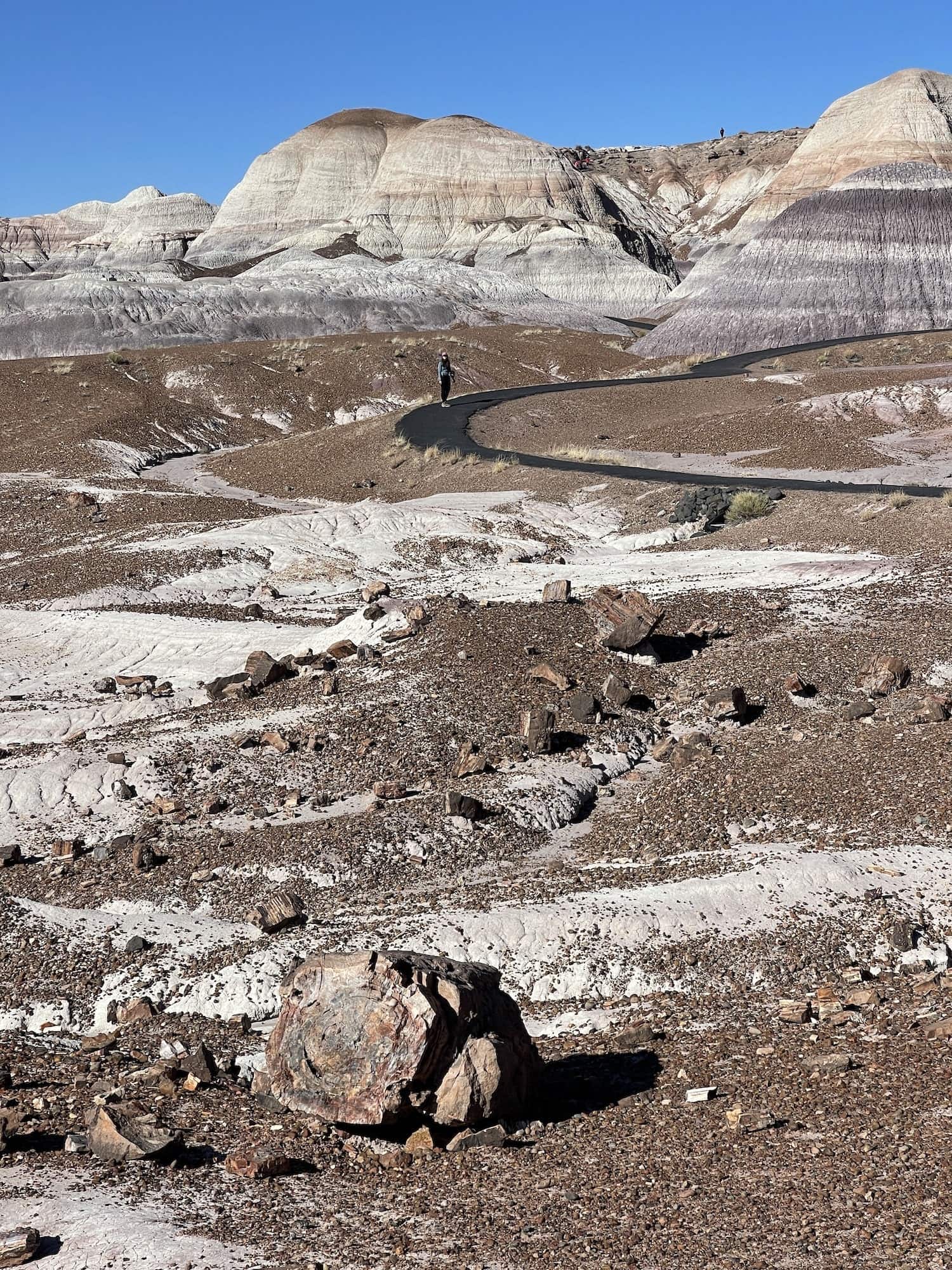 Girl walking in the Blue Mesa area of te park