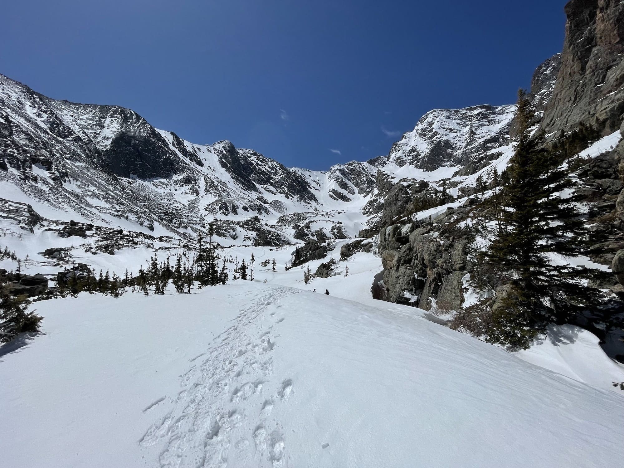 snow covered trail