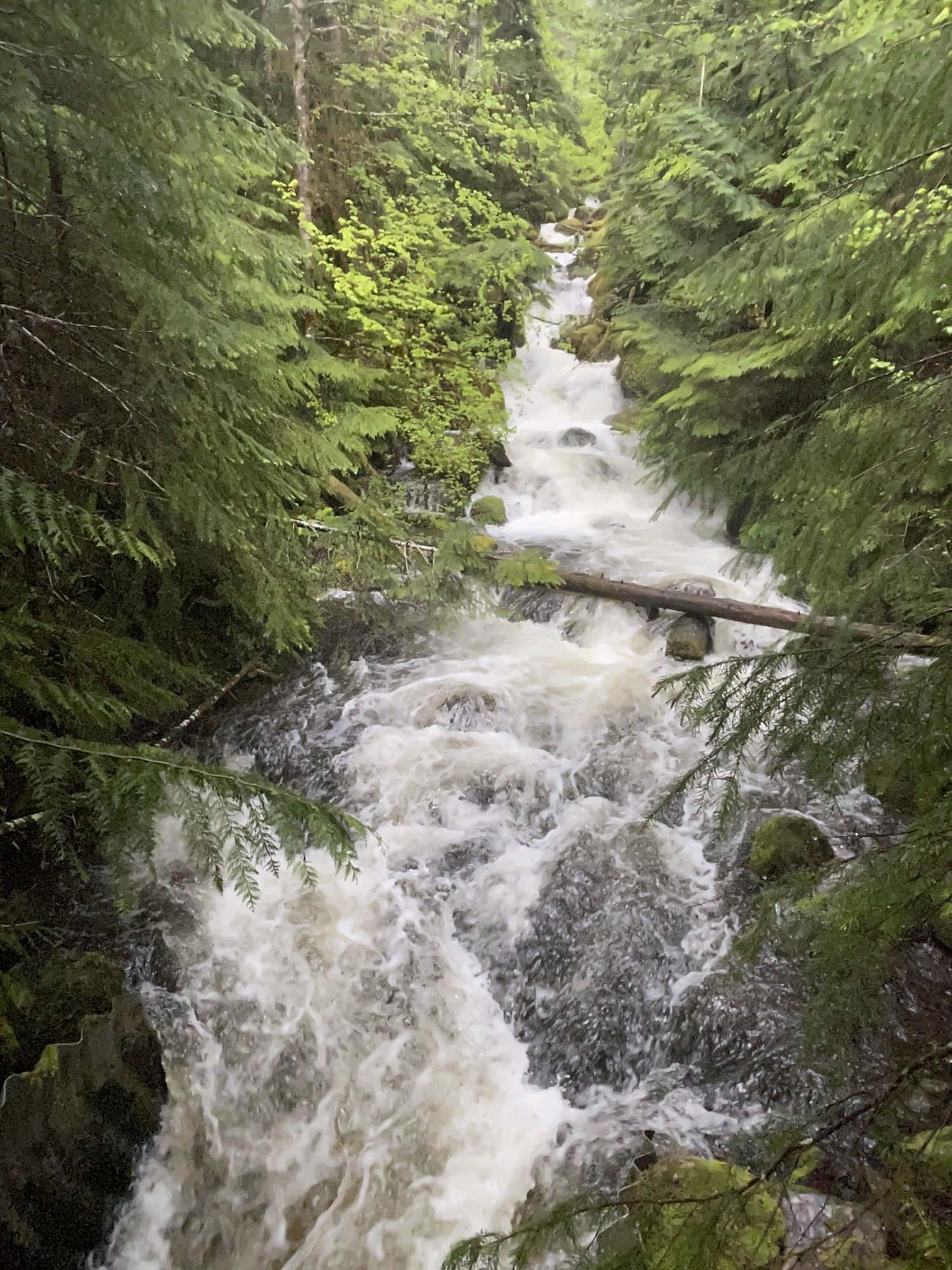 watson falls