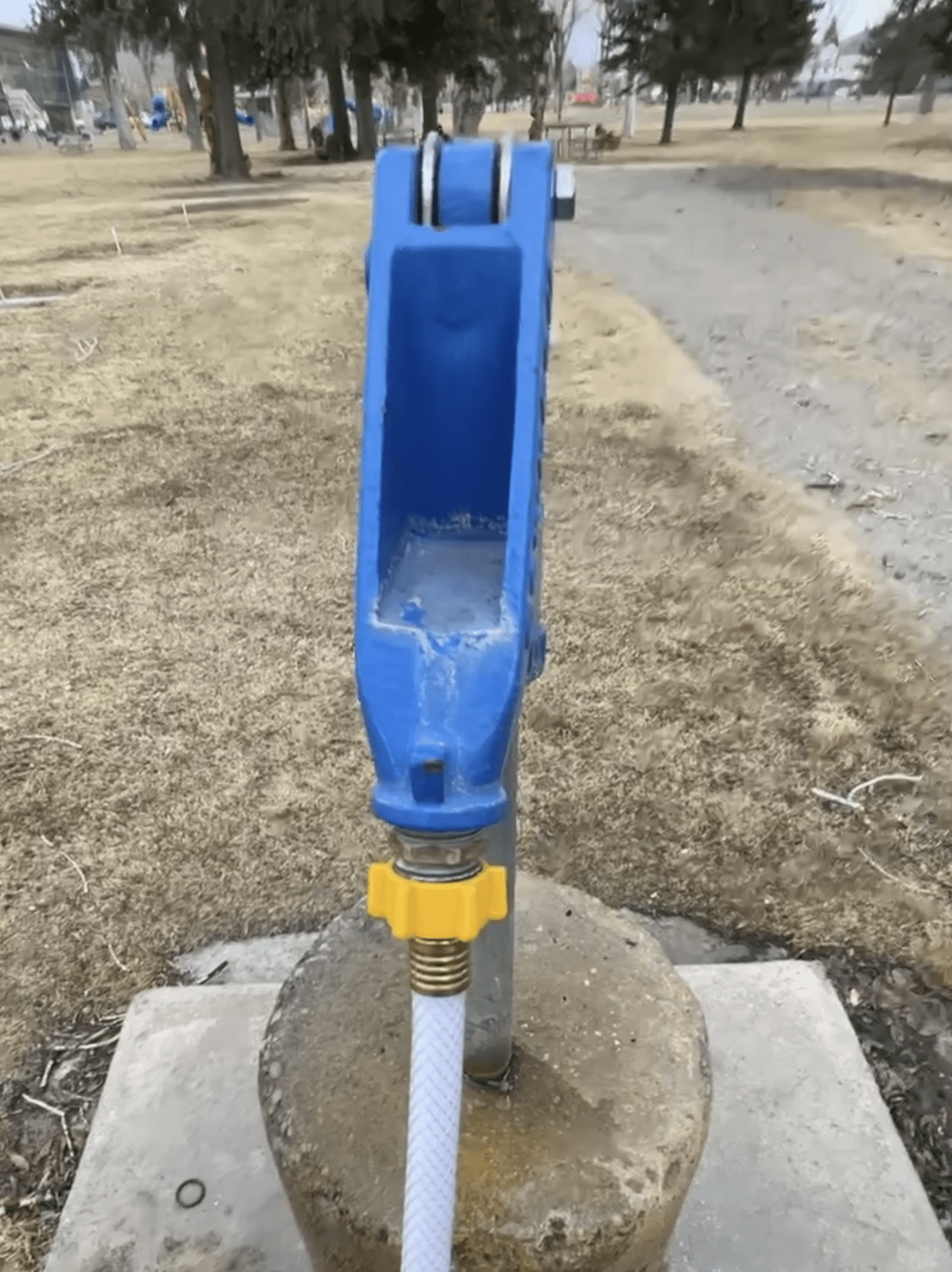 spigot connected to hose
