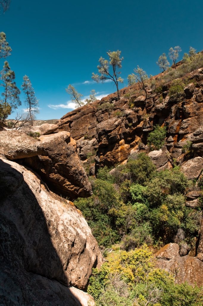 rock formations in pinnacles