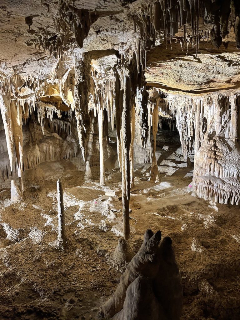 stalactites in lehman caves