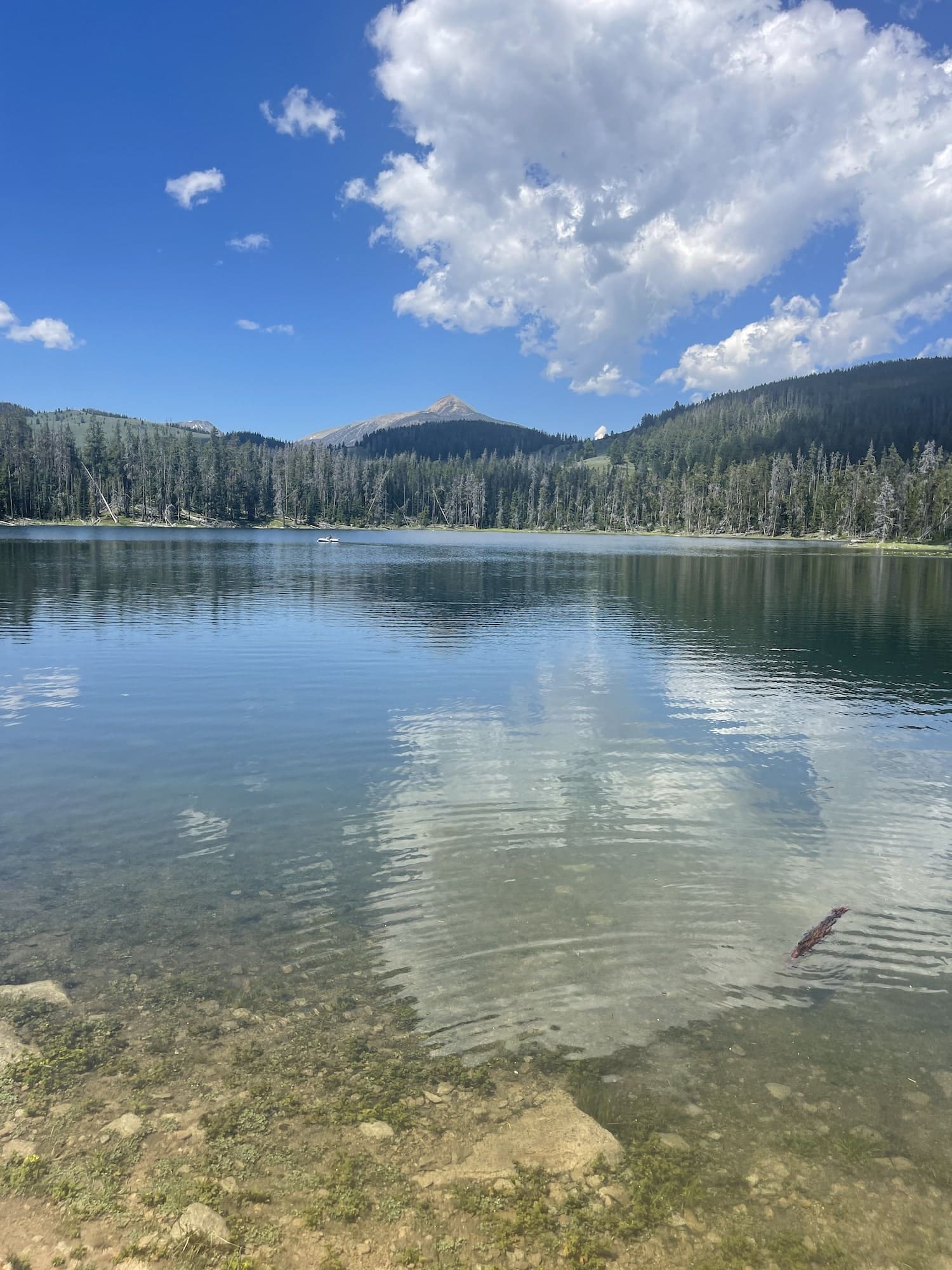 lower sureshot lake