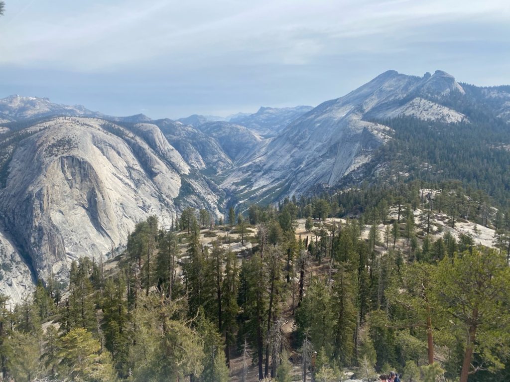 half dome views