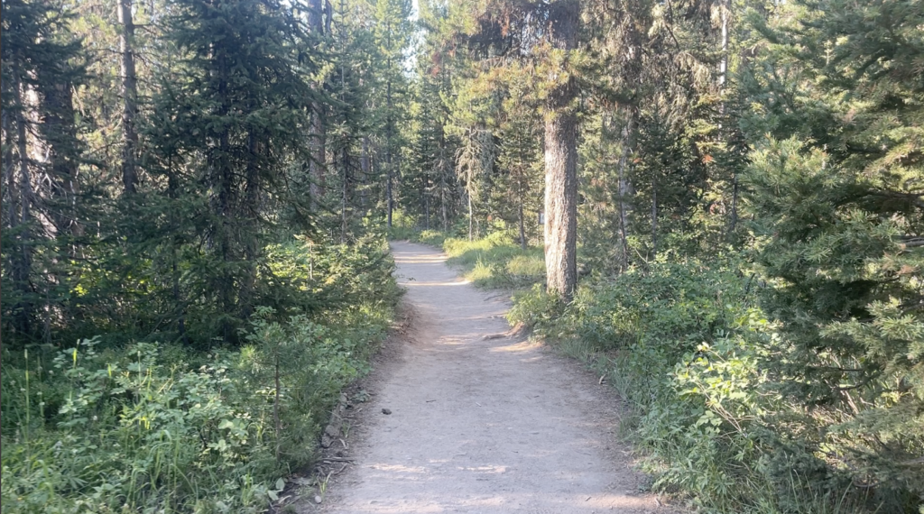 flat trail into the wodos