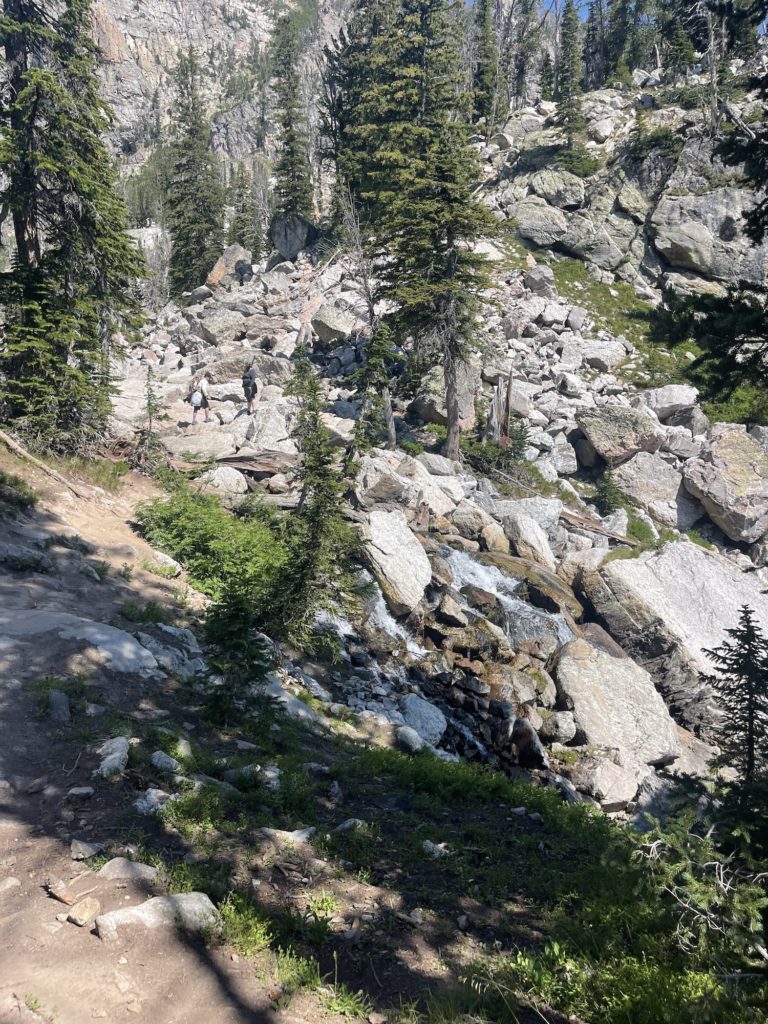 boulder field in delta lake