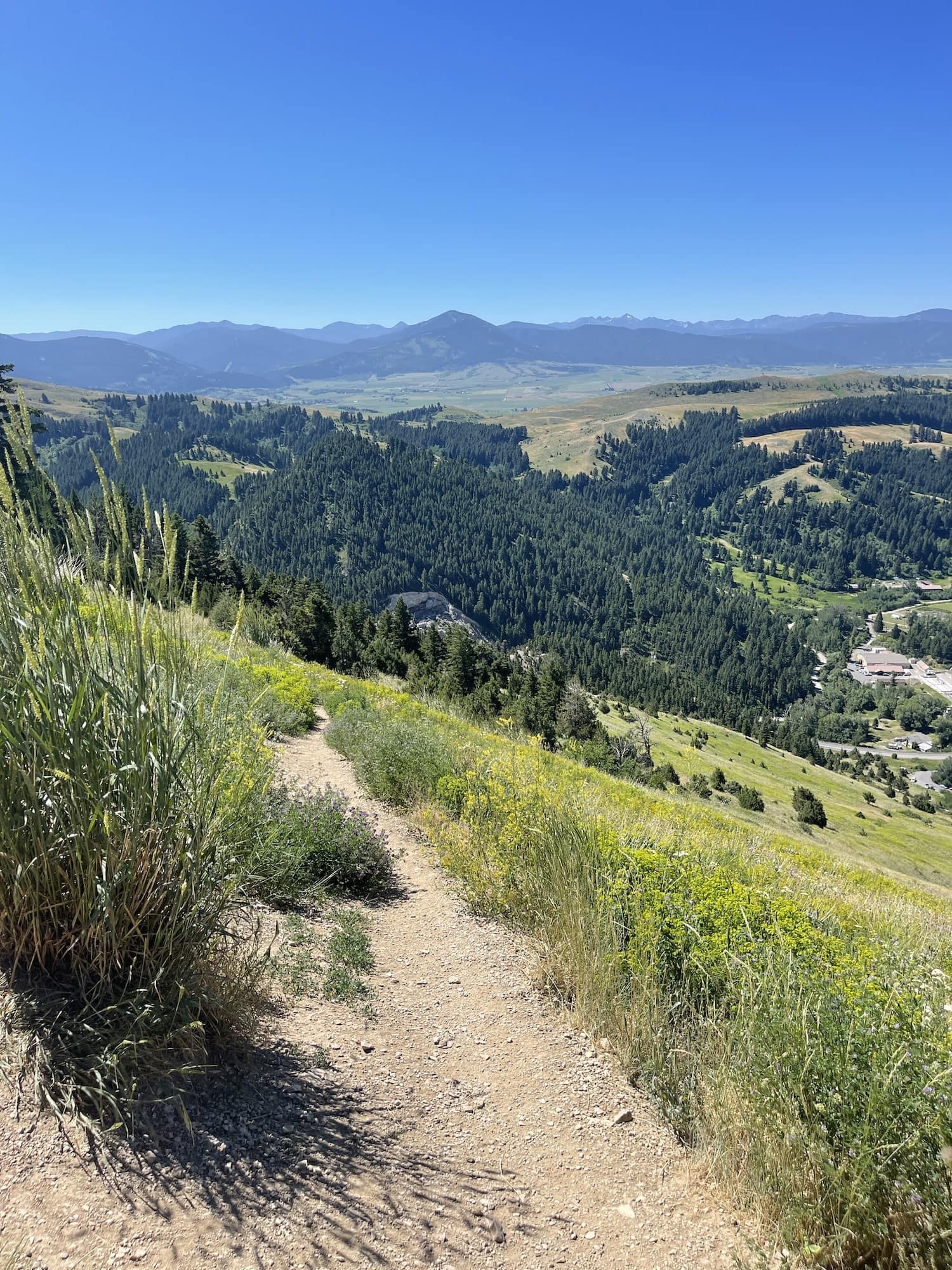 view over bozeman from m trail