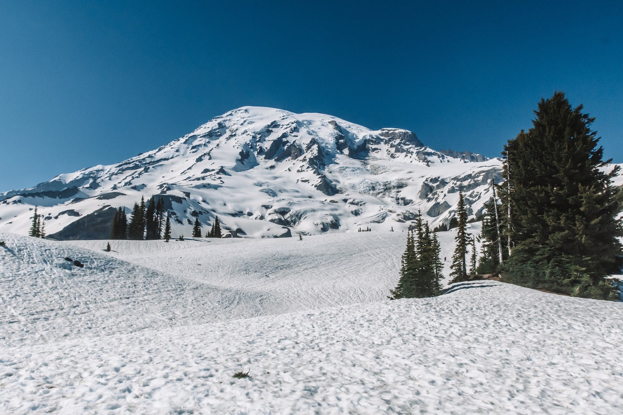 Guide to Visiting Mount Rainier in June Lita of the Pack