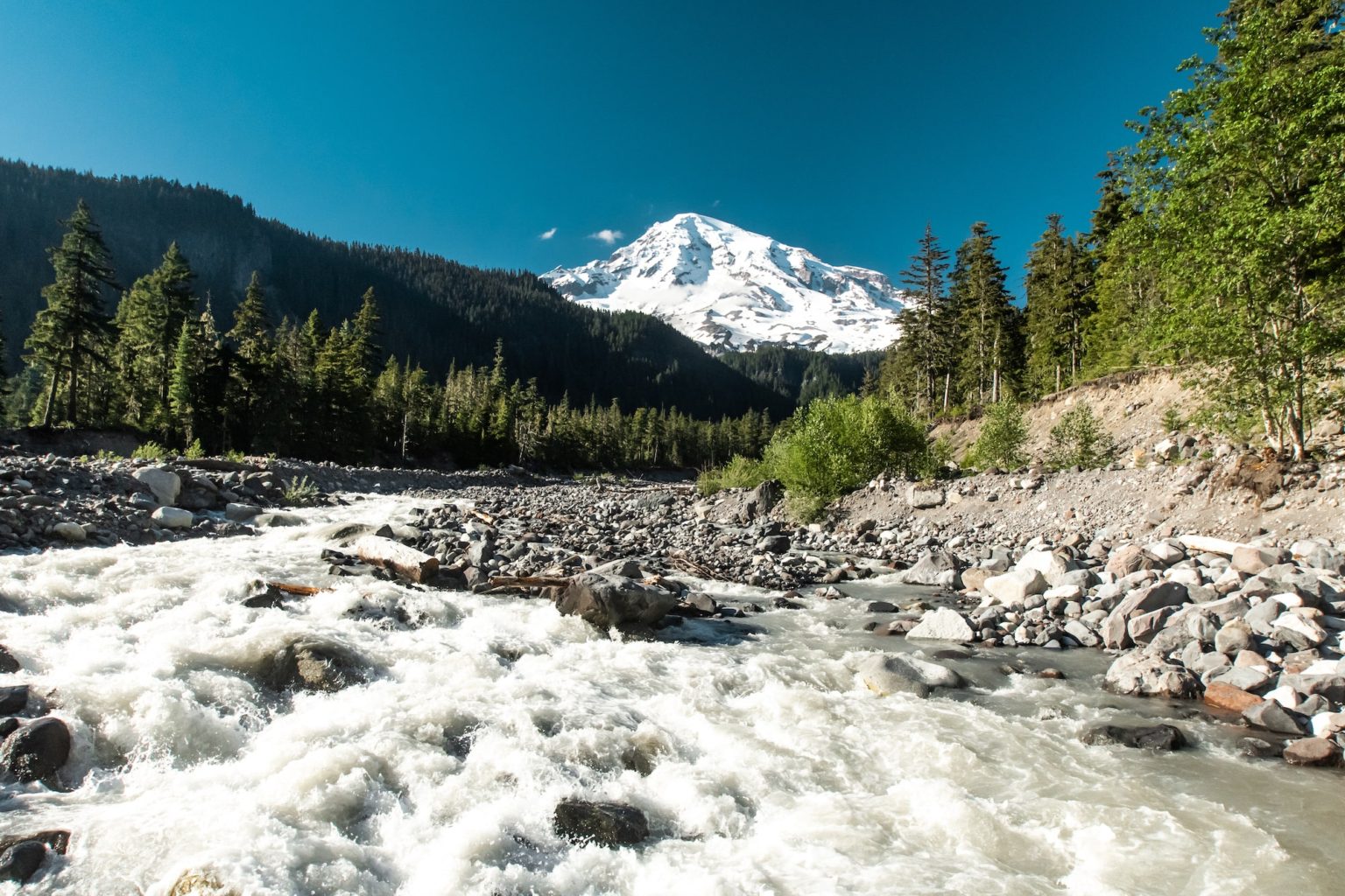 Guide to Visiting Mount Rainier in June Lita of the Pack