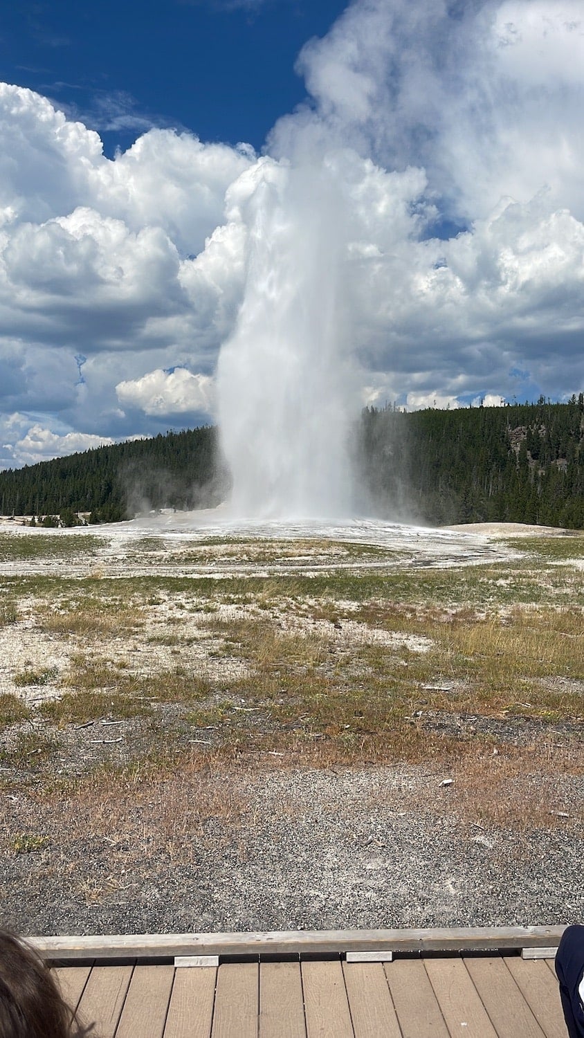 old faithful