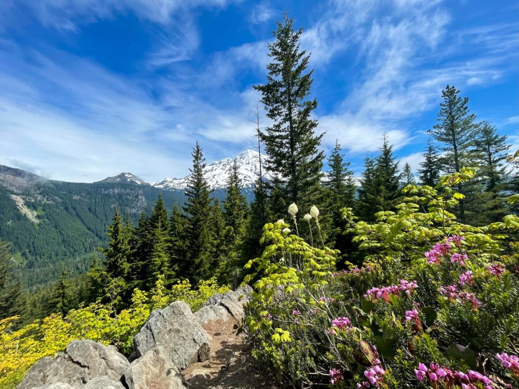 wildflowers in front of mount rainier